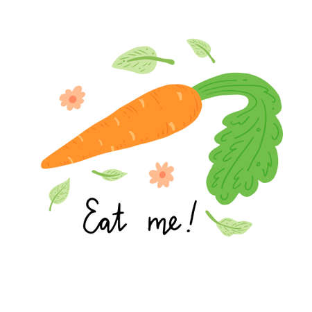 Carrot vector illustration isolated. Concept of healthy food, vegetable. Carrot have abstract, simple cartoon, hand drawn style.のイラスト素材