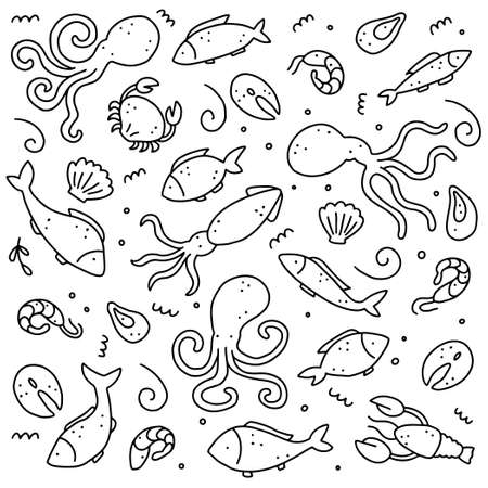 Hand drawn set of seafood elements, fish, lobster, oyster, octopus, shrimp. Doodle sketch style. Sea food element drawn by dogital pen. Vector illustration for icon, menu, recipe design.のイラスト素材