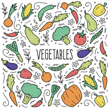 Hand drawn set of vegetable elements, carrot, salad, tomato, onion, lettuce, chili. Comic doodle sketch style. Vegetables element drawn by digital brush-pen. Vector illustration for icon, menu, frameのイラスト素材