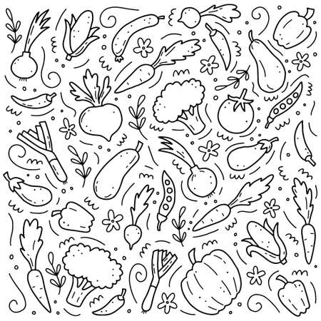 Hand drawn set of vegetable elements, carrot, salad, tomato, onion, lettuce, chili. Comic doodle sketch style. Vegetables element drawn by digital brush-pen. Vector illustration for icon, menu, frameのイラスト素材