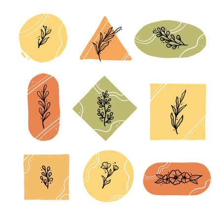Set of floral elements, flower, leaves. Hand drawn sketch pencil style. Perfect for  story highlight icon, social media, blog.のイラスト素材