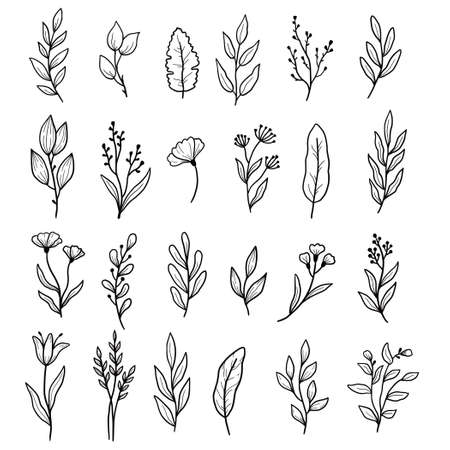 Hand drawn set of floral leaf, flower, branch elements. Doodle sketch style. Isolated vector illustration for wedding, foliage, beauty icon concept.のイラスト素材