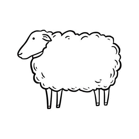 Hand drawn sheep. Doodle sketch style. Drawing line simple sheep icon. Isolated vector illustration.のイラスト素材