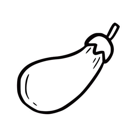 Hand drawn garden eggplant. Doodle sketch style. Drawing line simple eggplant. Isolated vector illustration.のイラスト素材