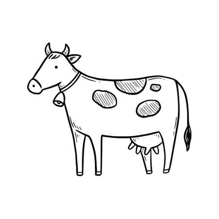 Hand drawn cute farm cow. Doodle sketch style. Drawing line simple cow icon. Isolated vector illustration.のイラスト素材