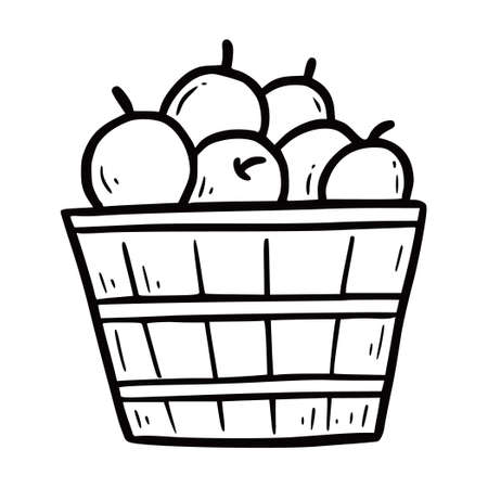 Hand drawn apple with wooden basket. Doodle sketch style. Drawing line simple apple basket icon. Isolated vector illustration.のイラスト素材