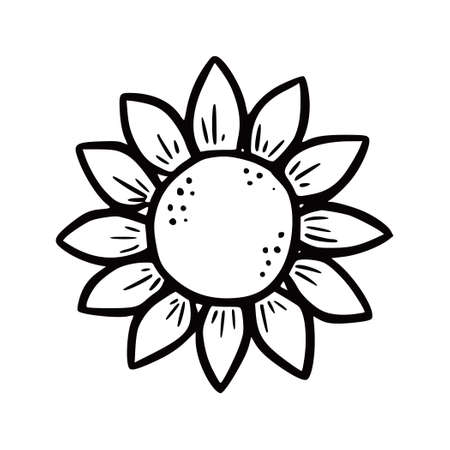 Hand drawn garden sunflower. Doodle sketch style. Drawing line simple sunflower. Isolated vector illustration.のイラスト素材