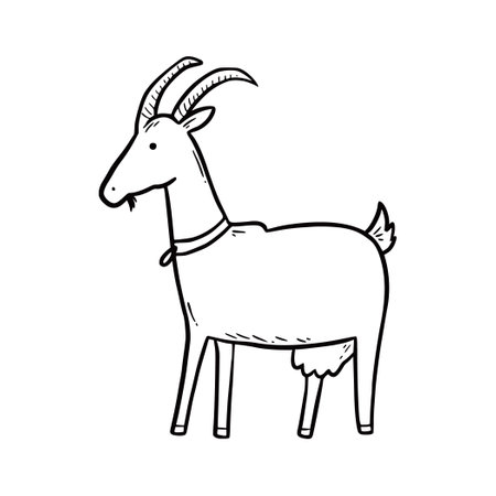 Hand drawn farm animal goat. Doodle sketch style. Drawing line simple goat icon. Isolated vector illustration.のイラスト素材