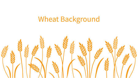 Wheat, barley, field background for oat, cereal. Hand drawn sketch style oat with grain. Wheat vector illustration background. Golden color barley.のイラスト素材