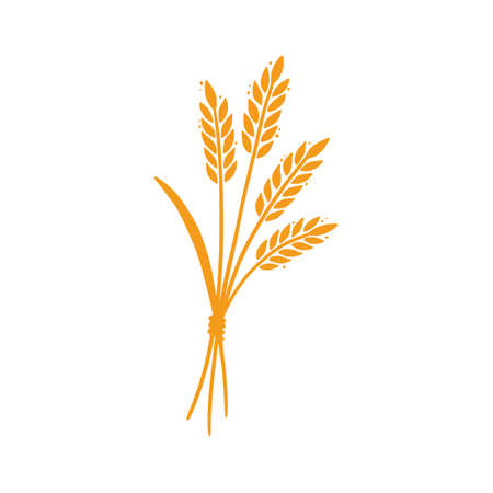 Wheat, barley, rice icon. Hand drawn sketch style oat with grain. Wheat isolated vector illustration. Golden color barley.のイラスト素材