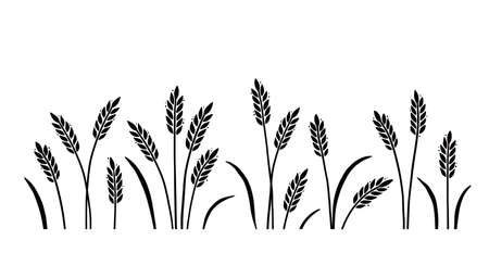Wheat, barley, field background for oat, cereal. Hand drawn sketch style oat with grain. Wheat vector illustration background. Black color barley.のイラスト素材