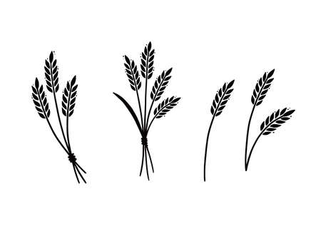 Wheat, barley, rice icon. Hand drawn sketch style oat with grain. Wheat isolated vector illustration.のイラスト素材