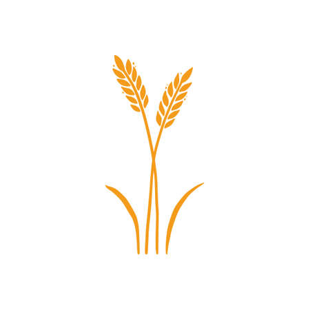 Wheat, barley, rice icon. Hand drawn sketch style oat with grain. Wheat isolated vector illustration. Golden color barley.のイラスト素材