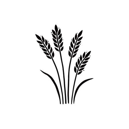 Wheat, barley, rice icon. Hand drawn sketch style oat with grain. Wheat isolated vector illustration.のイラスト素材