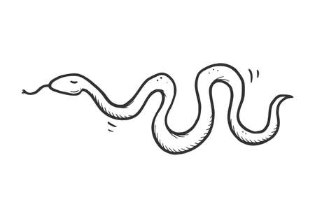 Hand drawn desert snake serpent pose. Doodle sketch style. Drawing line simple snake icon. Isolated vector illustration.のイラスト素材