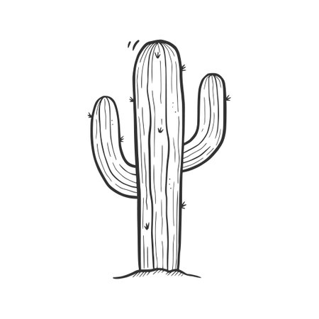 Hand drawn desert cactus element. Doodle sketch style. Drawing line simple desert cactus icon. Isolated vector illustration.のイラスト素材