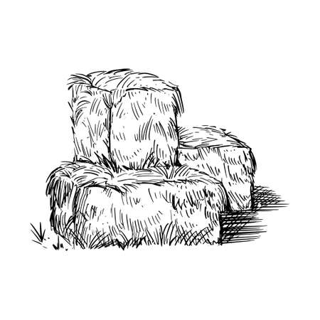 Hay bale farm drawing sketch. Hand drawn haystack. Isolated vector illustration.のイラスト素材