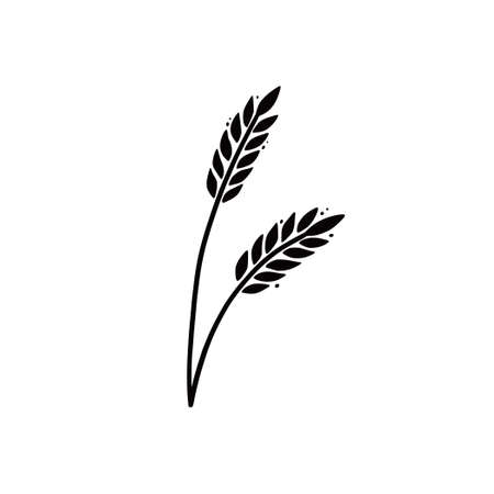 Wheat, barley, rice icon. Hand drawn sketch style oat with grain. Wheat isolated vector illustration.のイラスト素材