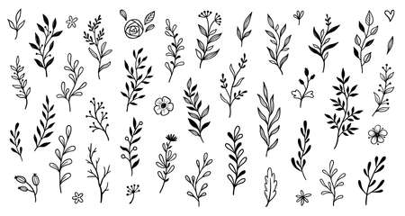 Leaf branch wreath rustic set. Hand drawn sketch doodle style leaf. Flourish branch, laurel flower for border, divider design element. Vector illustration.のイラスト素材