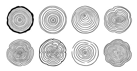 Tree ring wood circle set. Hand drawn tree ring pattern, line ripple circle wood texture. Wood organic slice line design. Vector illustration.のイラスト素材