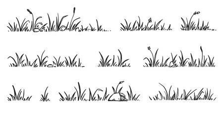 Grass doodle sketch style set. Hand drawn grass field outline scribble background. Sprout, flower, clover elements. Vector illustration.のイラスト素材