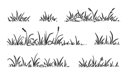 Grass doodle sketch style set. Hand drawn grass field outline scribble background. Sprout, flower, clover elements. Vector illustration.のイラスト素材
