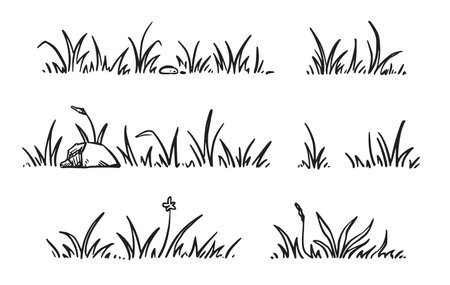 Grass doodle sketch style set. Hand drawn grass field outline scribble background. Sprout, flower, clover elements. Vector illustration.のイラスト素材