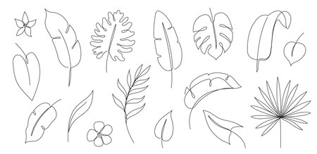 Outline tropic palm leaf set. One continuous line art tropic tree leaves. Editable stroke monstera, jungle foliage floral element. Isolated vector illustrationのイラスト素材