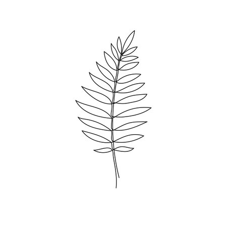 Line bay laurel leaf branch art. One continuous line art decorative bay laurel leaf draw. Editable stroke single branch element. Isolated vector illustrationのイラスト素材