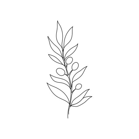 Line olive leaf branch art. One continuous line art decorative olive leaf draw. Editable stroke single branch element. Isolated vector illustrationのイラスト素材