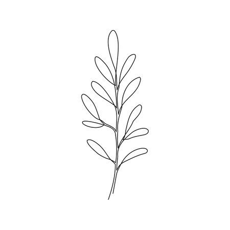 Outline plant eucalyptus leaf. One continuous line art decorative plant leaf. Editable stroke eucalyptus foliage floral element. Isolated vector illustrationのイラスト素材