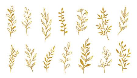 Gold branch leaf element set. Hand drawn sketch doodle golden leaves floral element for wedding background, elegant design. Vector illustration.のイラスト素材