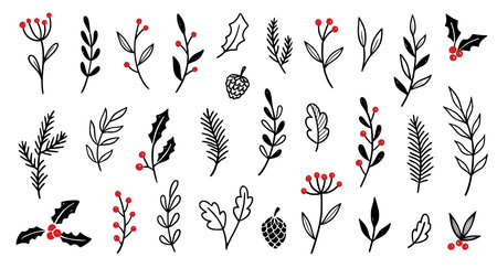 Christmas plant leaf, flower set. Hand drawn doodle sketch holly floral, christmas tree leaves, winter branch elements. Holiday decoration, rustic wreath sketch doodle. Vector illustration.のイラスト素材