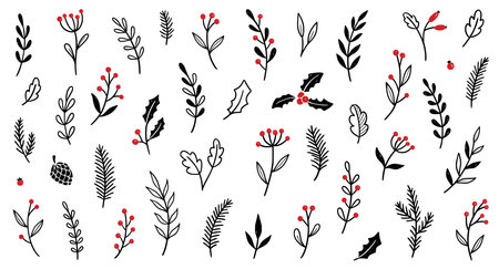 Christmas plant leaf, flower set. Hand drawn doodle sketch holly floral, christmas tree leaves, winter branch elements. Holiday decoration, rustic wreath sketch doodle. Vector illustration.のイラスト素材