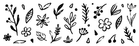 Flower doodle hand drawn line stroke. Sketch hand drawn spring floral plant, nature graphic leaf, scribble grunge brush texture. Vector simple flower, leaf brush stroke. Vector illustrationのイラスト素材