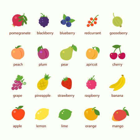Fruits and berries icon setのイラスト素材
