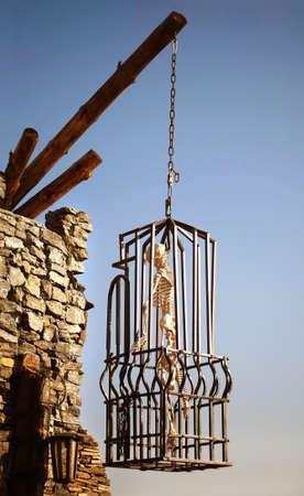 White skeleton in metal cage hanging on thick log.の写真素材