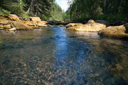  middle of  channel of the small wood river with pure waterの写真素材