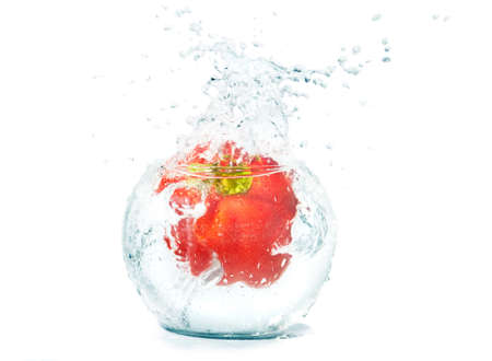 Red large pepper in water and splashesの写真素材