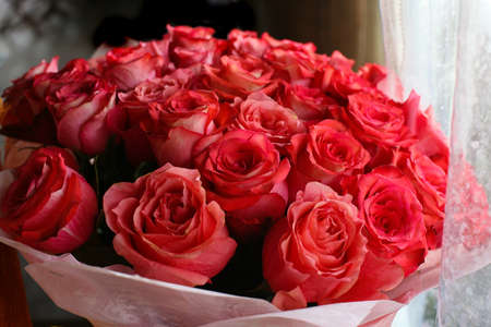  big bouquet with set of red rosesの写真素材