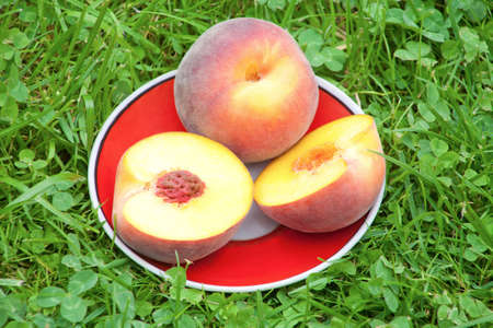 Ripe juicy peach in plate on grassの写真素材