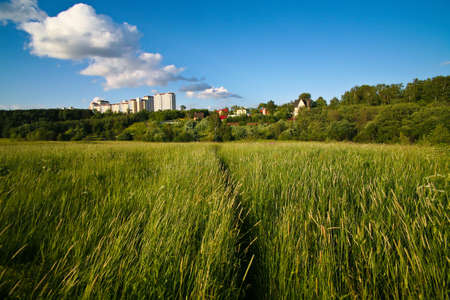 City on background of field with high grassの写真素材