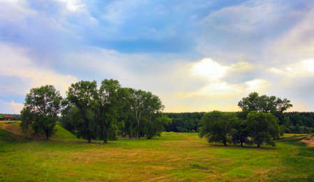evening landscape with meadow wood and the skyの写真素材