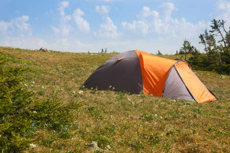 Tourist tent on glade in wood on sunsetの写真素材