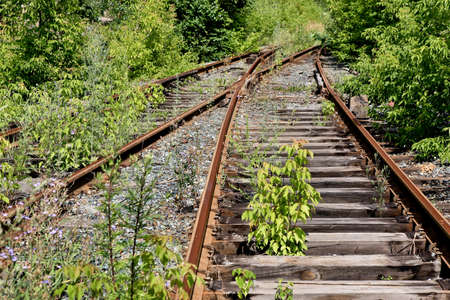 old thrown railroad which has grown with treesの写真素材