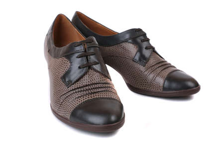 classical women's shoes from the combined skin it is isolatedの写真素材
