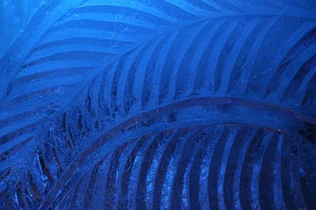 blue wall from ice with grassy ornament