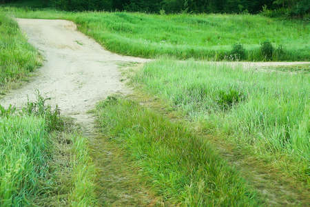 country paths on green meadow in the summerの写真素材
