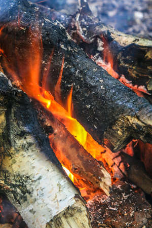 birch firewood brightly burning in fireの写真素材