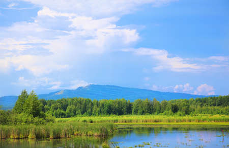 beautiful landscape river wood mountain and cloudy skyの写真素材